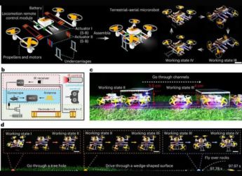 New Shape-Shifting Microrobots Can Walk, Fly, and More: Everything You Need to Know