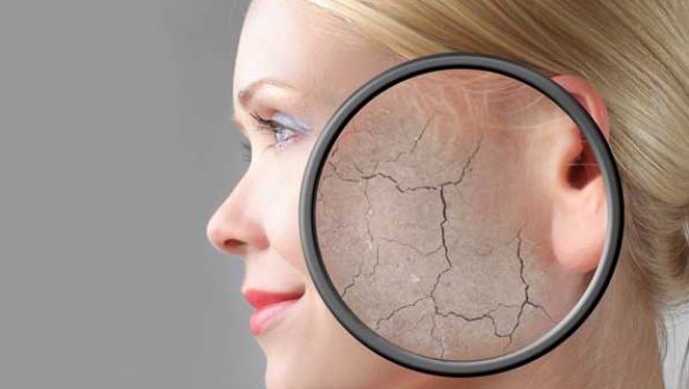 Natural Compound Can Reduce Signs of Ageing: Study