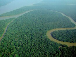 Brazil, Elon Musk Discuss Using SpaceX Satellites to Monitor Amazon Rainforest, Connectivity Projects Brazil, Elon Musk Discuss Using SpaceX Satellites to Monitor Amazon Rainforest, Connectivity Projects