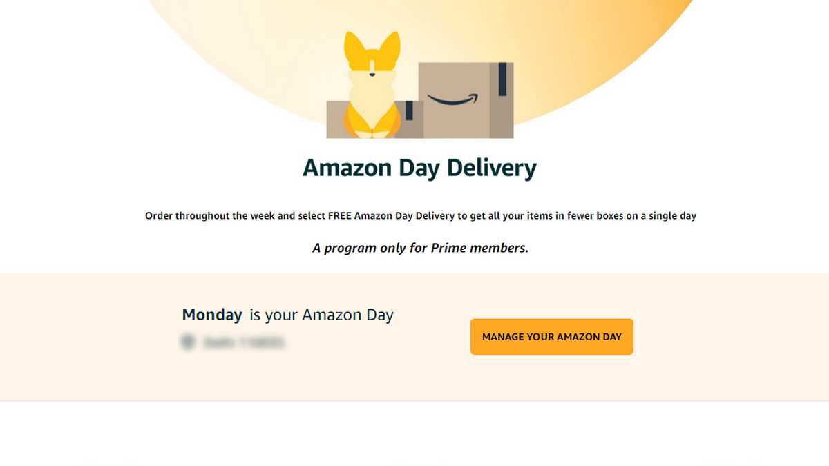 Amazon Day Is a New Delivery Option for Prime Members to Get Weekly Deliveries on a Designated Day