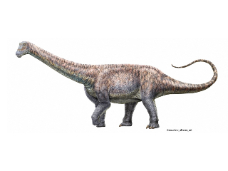 New Species of Plant-Eating Dinosaur Discovered in World&rsquo;s Driest Desert in Chile