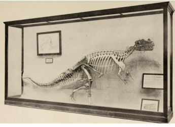 444-Million-Year-Old Inside-Out Fossil Without Head And Legs Found In South Africa