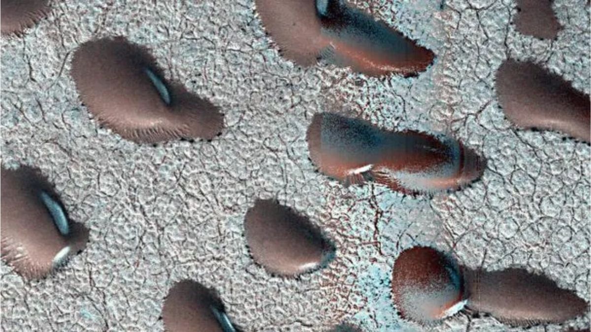 Mars Satellite Images Reveal Giant 'Kidney Beans,' Sparking Hints of Water and Life