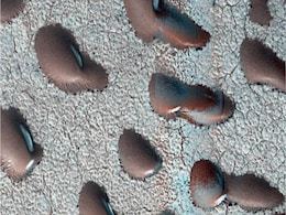 Mars Satellite Images Reveal Giant 'Kidney Beans,' Sparking Hints of Water and Life Mars Satellite Images Reveal Giant 'Kidney Beans,' Sparking Hints of Water and Life