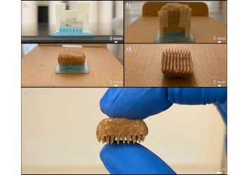 Engineers Create New Ways to Shape Bread-Derived Carbon Electrodes for Sustainable Use