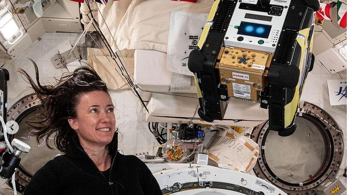 AstroBee Robots Will Help Astronauts With Their Chores on ISS