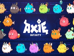 Axie Infinity CEO Moved Funds to Binance Before Disclosing Ronin Bridge Hack Axie Infinity CEO Moved Funds to Binance Before Disclosing Ronin Bridge Hack