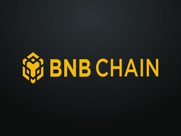 BNB Chain Halted After Estimated $100 Million Drain in Exploit, CEO Says Issue Has Been Contained BNB Chain Halted After Estimated $100 Million Drain in Exploit, CEO Says Issue Has Been Contained