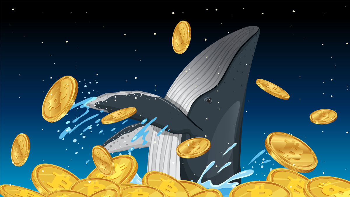 Bitcoin’s Largest Whale Dump Since 2022: A Cause for Concern or Just Market Noise?
