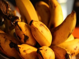 Banana Apocalypse Could Be Averted Thanks to Genetic Breakthrough Banana Apocalypse Could Be Averted Thanks to Genetic Breakthrough