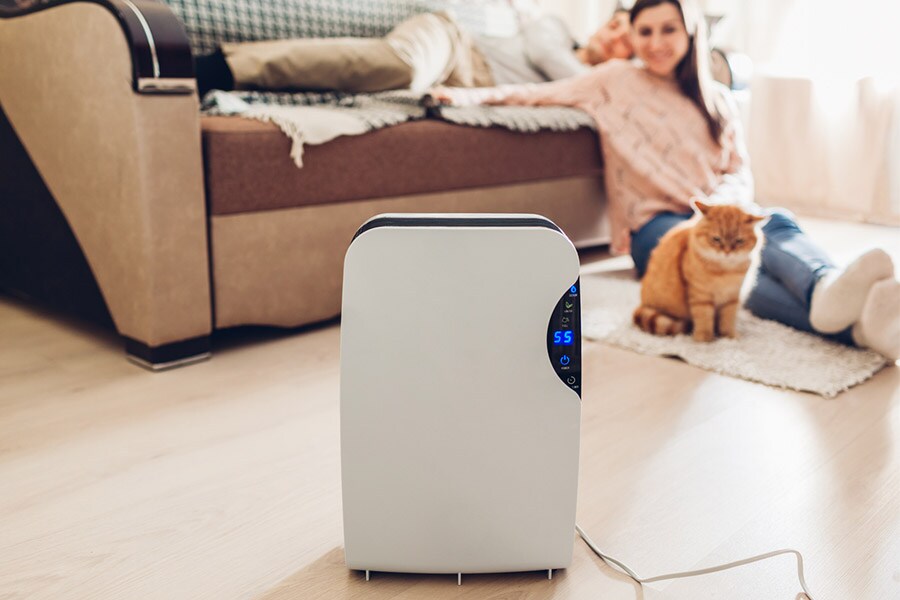 Best Air Purifiers in India (2021), Price and Features HotDeals360