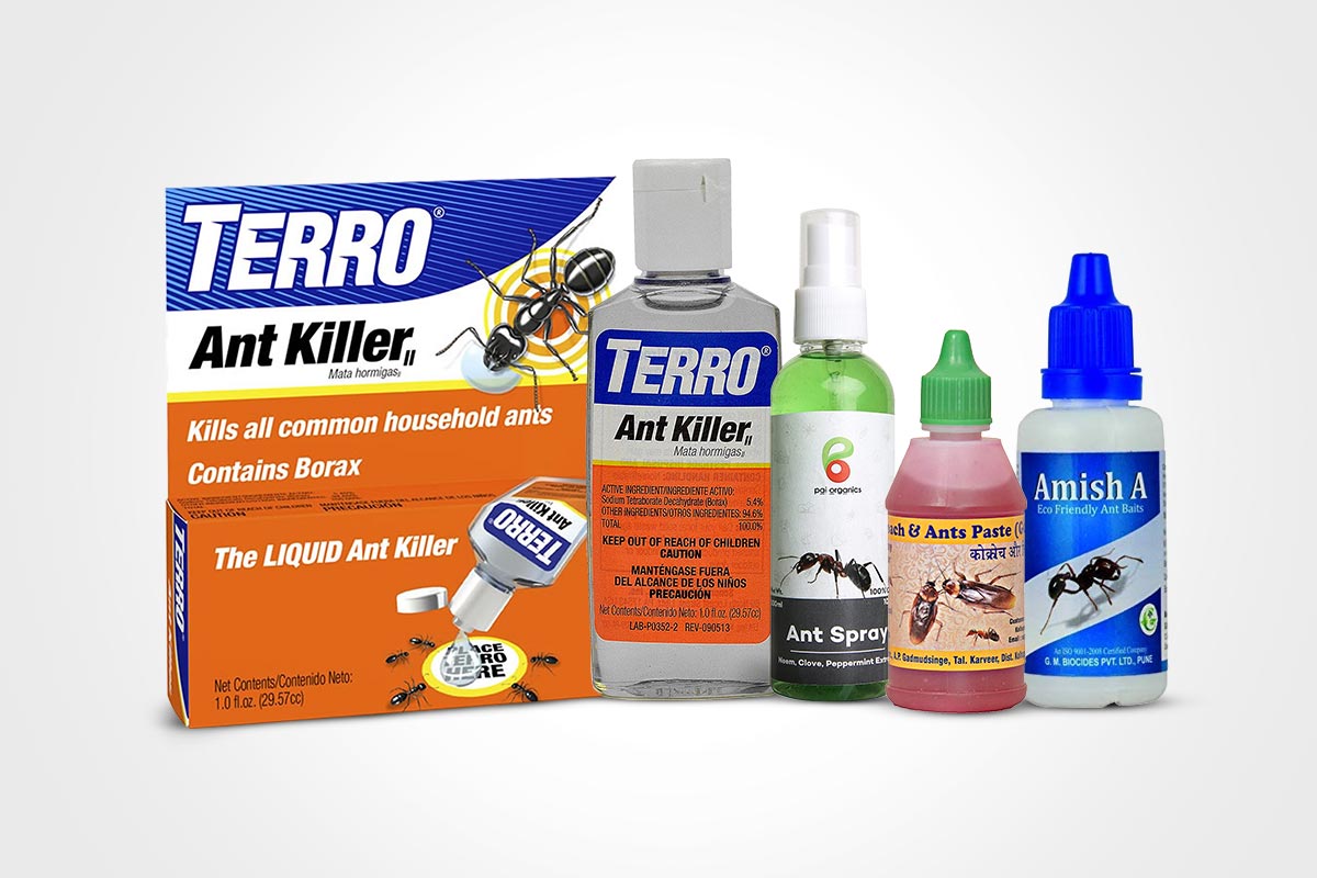 ant repellent in kitchen