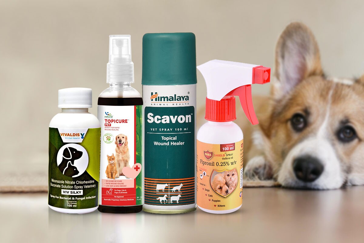 Best Anti Bacterial Sprays HotDeals360