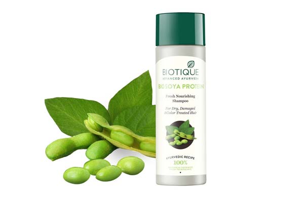 Biotique Bio Soya Proteins Fresh Nourishing Shampoo