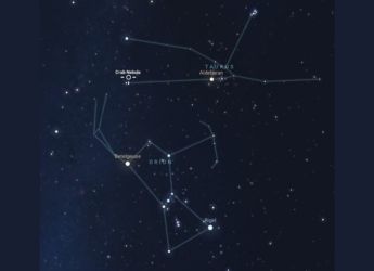 Stellar death and rebirth revealed by Betelgeuse and Crab Nebula