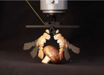 Engineers Turn Lobster Shells Into Robot Parts That Lift, Grip and Swim