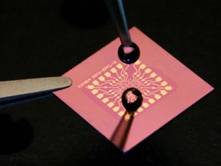 Scientists Seeking to Develop Biosensors to Fight Illness