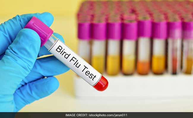 Carcasses Of 4 Crows Found At Delhi's Shakti Sthal