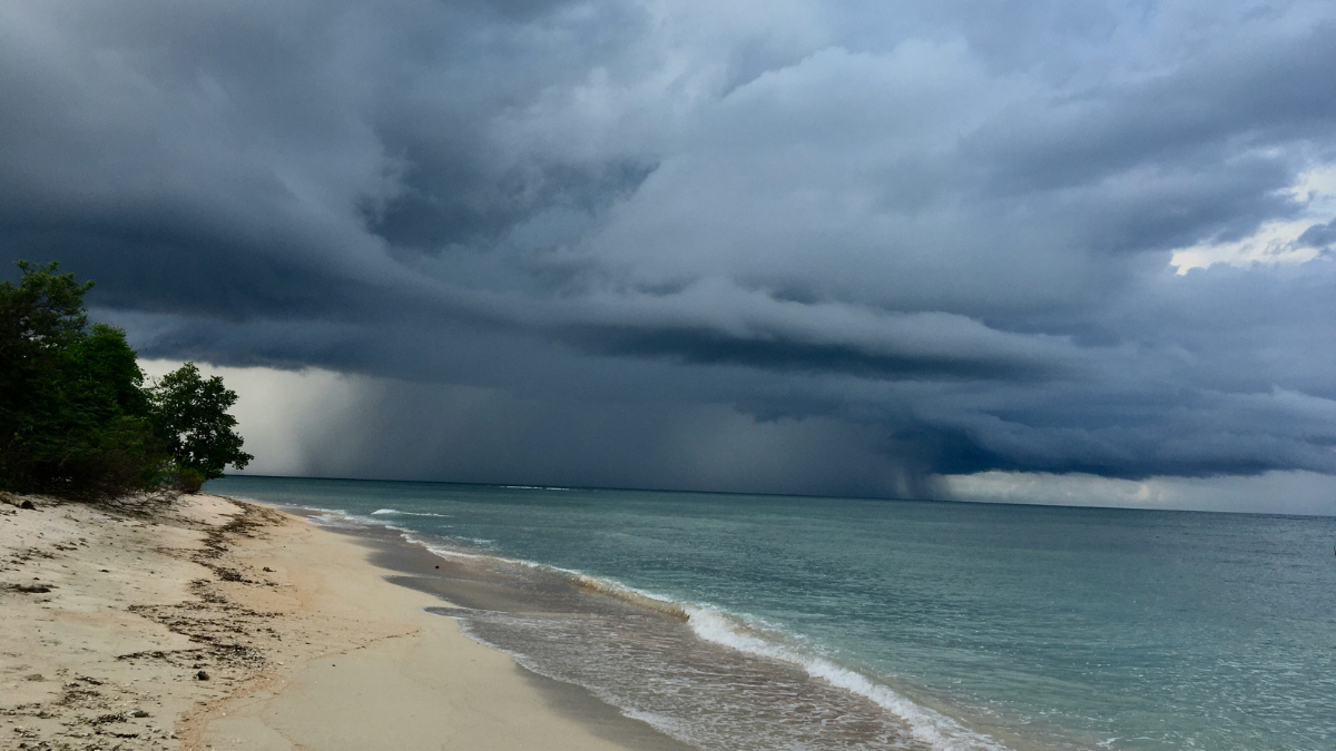 Bitchat Becomes Jamaica’s Go-to App as Hurricane Melissa Cripples Communication Bitchat Becomes Jamaica’s Go-to App as Hurricane Melissa Cripples Communication