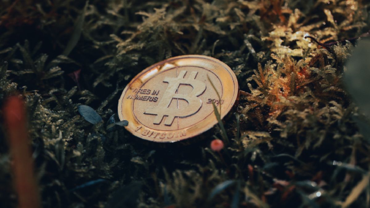 Crypto मार्केट में लगातार दूसरे दिन दिखा लाल रंग, 22 लाख रुपये के नीचे लुढ़का Bitcoin Crypto मार्केट में लगातार दूसरे दिन दिखा लाल रंग, 22 लाख रुपये के नीचे लुढ़का Bitcoin