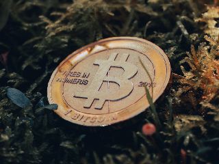 Bitcoin Continues to Lose Steam in Silvergate Shutdown Aftermath, Most Altcoins Record Losses