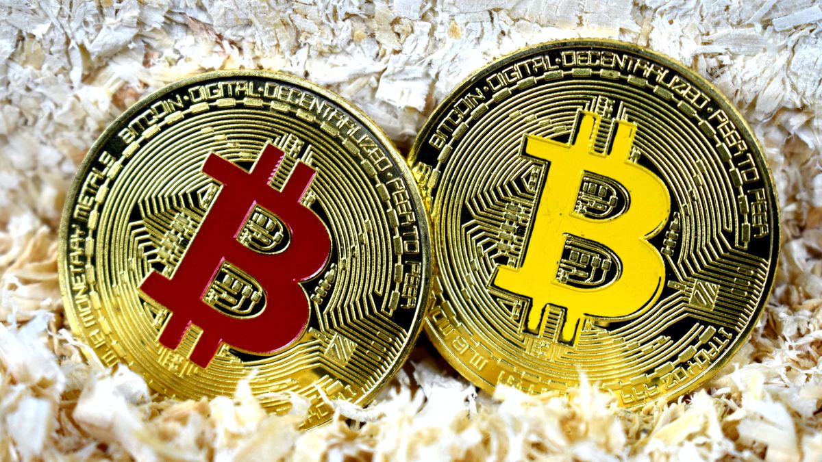 BTC Stays Above $17,000 Mark Despite Small Dip, Tiny Losses Hit Most Altcoins