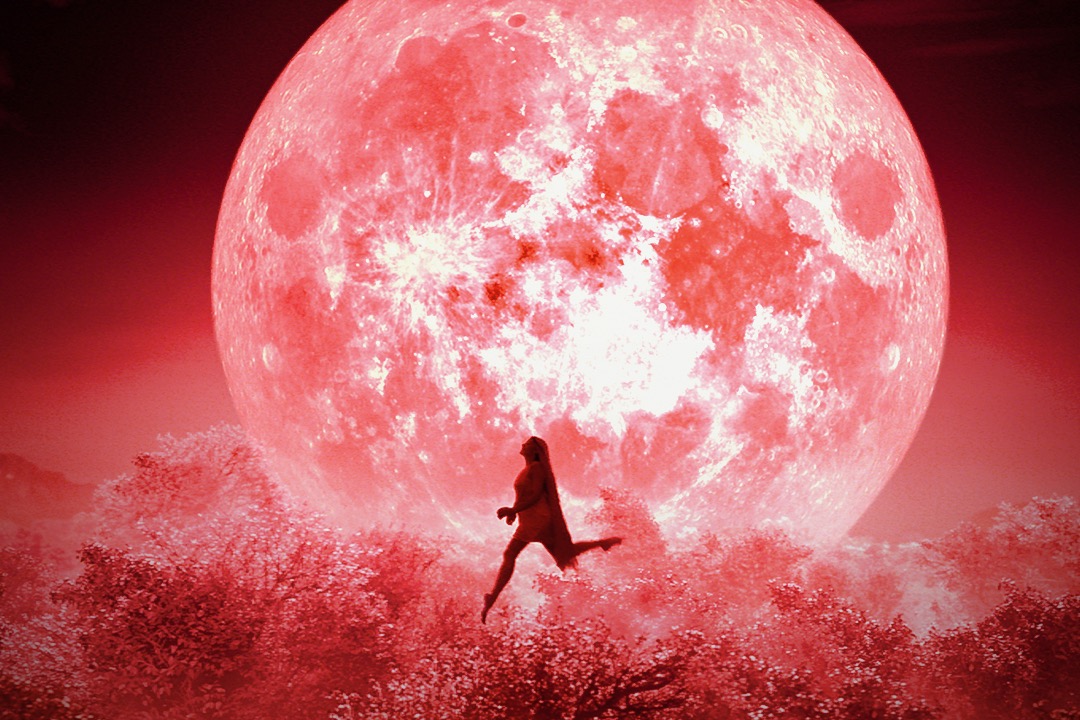 Bulbbul Release Date: Anushka Sharma’s Netflix Movie Out June 24