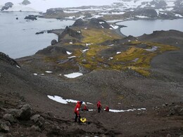 Bacteria With Natural Antibiotic, Antimicrobial Resistance Discovered in Antarctica Bacteria With Natural Antibiotic, Antimicrobial Resistance Discovered in Antarctica