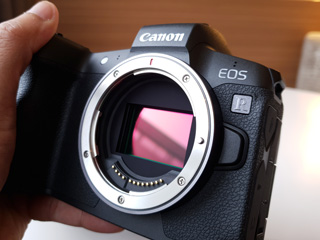 Canon EOS R First Impressions