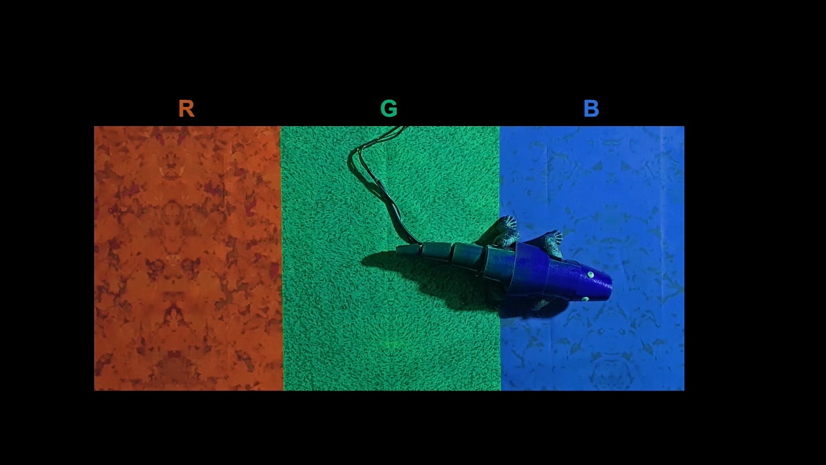 Chameleon-Inspired Robot That Can Change Colour Instantly to Adapt to Its Surroundings