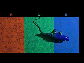 Chameleon-Inspired Robot That Can Change Colour Instantly to Adapt to Its Surroundings
