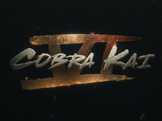 Cobra Kai Season 6: Netflix Renews Karate Kid Spinoff Series for Final Season