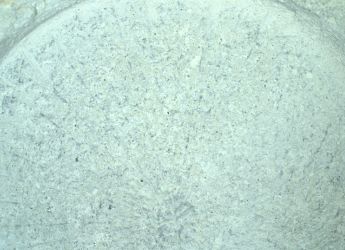 Perseverance Rover Examines Serpentine Lake on Mars, Seeking Clues on Past Water Presence