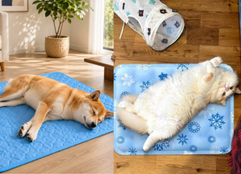 Best Cooling Mats for Pets: For Your Furry Friend