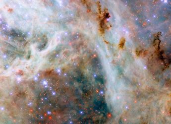 Hubble Captures Stunning Tarantula Nebula Image, Revealing Cosmic Dust and Star Formation