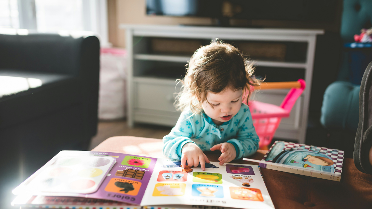 Best Learning Books For Toddlers: A Guide For Every Parent