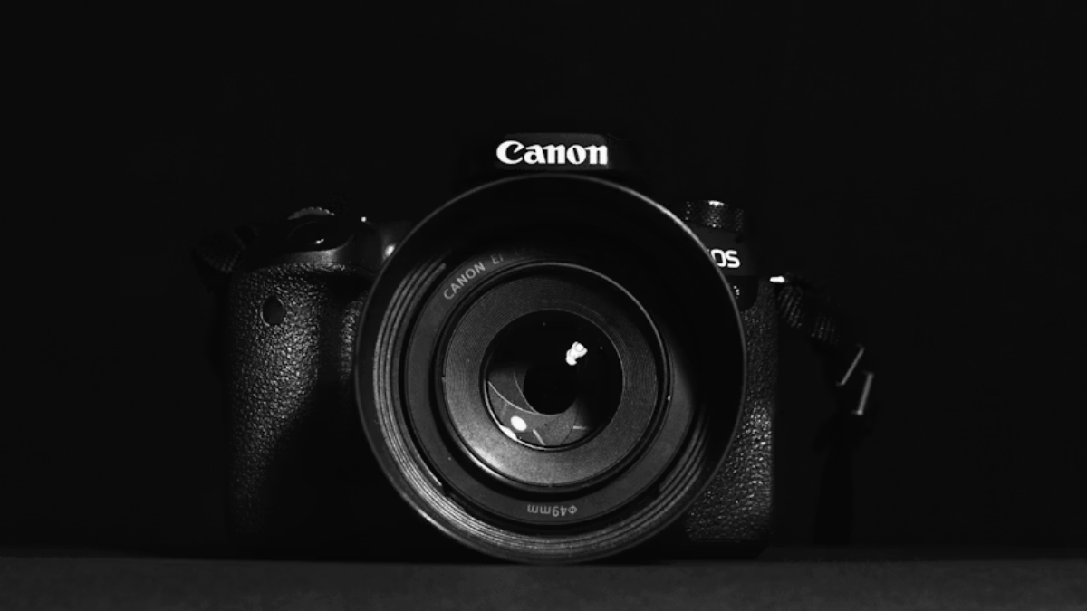 Best Canon EOS DSLR &amp; Mirrorless Cameras for Crisp Photos and Perfect Videos