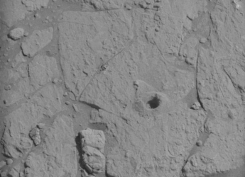 Curiosity Rover Reconnects After Solar Conjunction, Begins Critical Organic Search on Mars