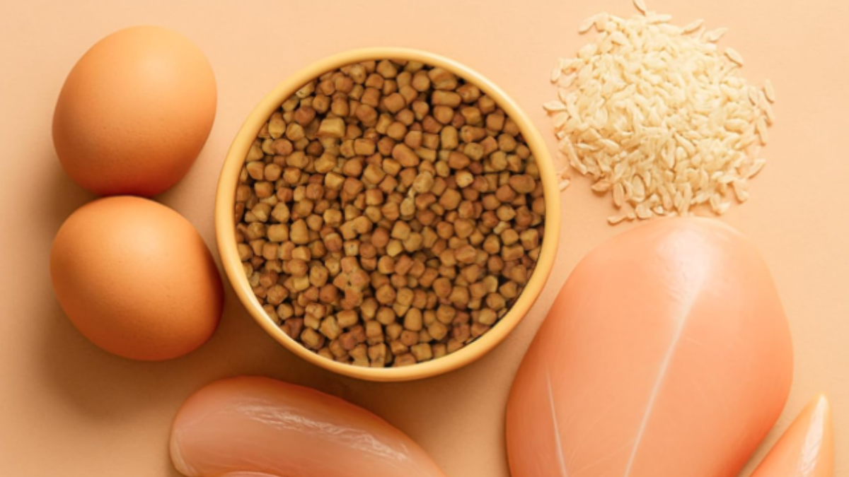 Top Dry Food Items For Dogs: Choose From Pedigree, Drools, and More