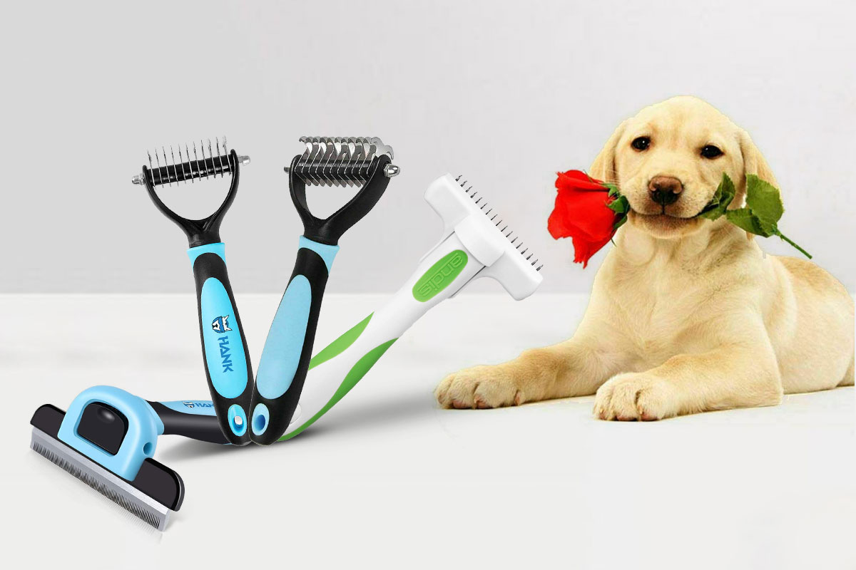 Best Deshedding Trimmers For Dogs For An Itch Free Fur HotDeals360