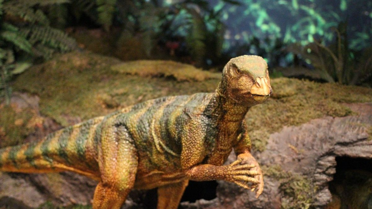 New Haplocanthosaurus Specimen Uncovered in Colorado&rsquo;s Dry Mesa Dinosaur Quarry