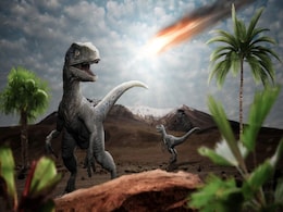 Dinosaurs Weren’t Doomed Before the Asteroid Hit, New Research Suggests Dinosaurs Weren’t Doomed Before the Asteroid Hit, New Research Suggests