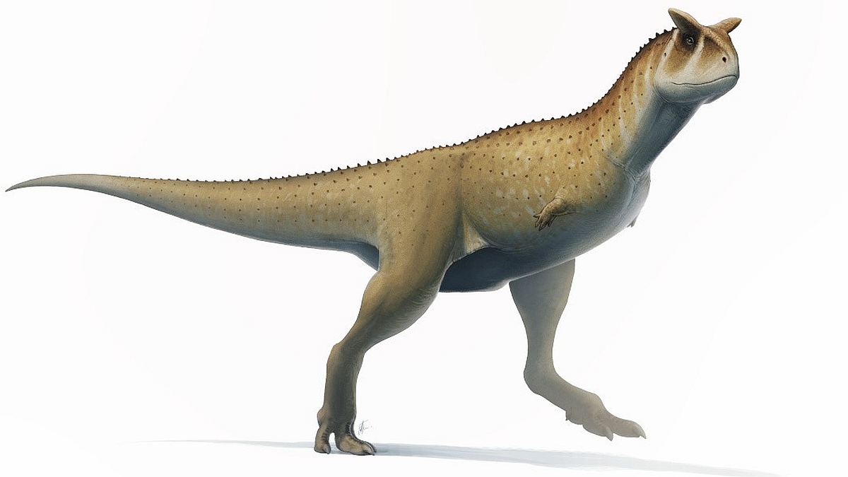 New Species of Armless Dinosaurs That Roamed America, Africa, and Asia Discovered