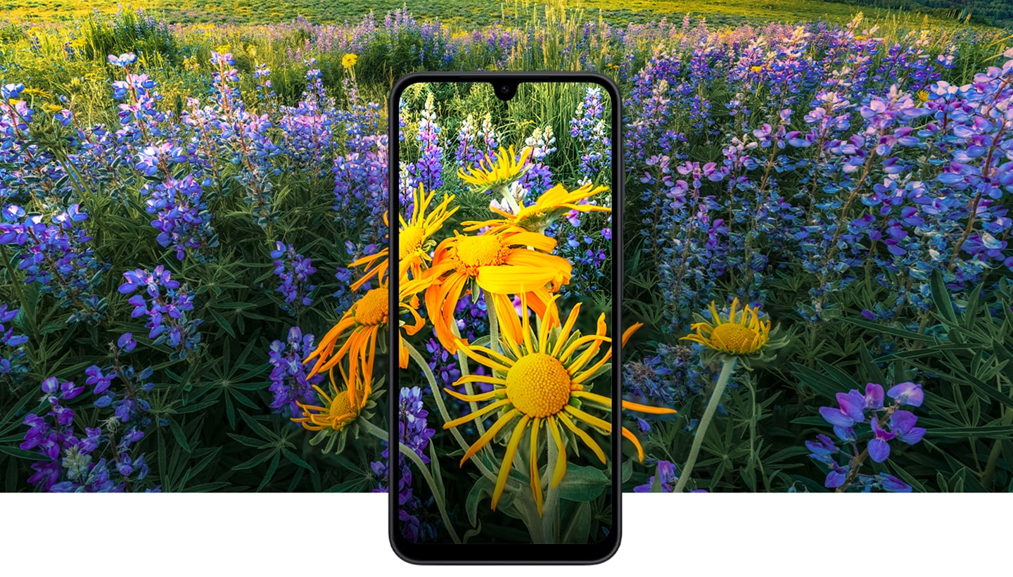 Display Banner 1440x820 01 dd