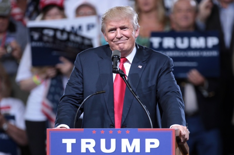 Donald Trump Surges, Canada's Immigration Website Crashes Under the Load