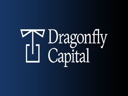 Dragonfly Raises Third Crypto Fund of $650 Million to Help Fund Startups at All Stages Dragonfly Raises Third Crypto Fund of $650 Million to Help Fund Startups at All Stages