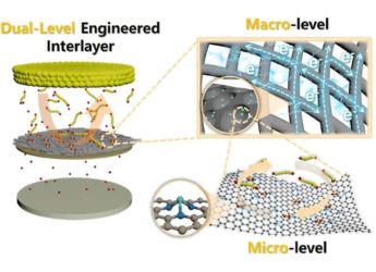 Scientists Develop Two-Level Strategy to Power Next-Gen Lithium&ndash;Sulphur Batteries