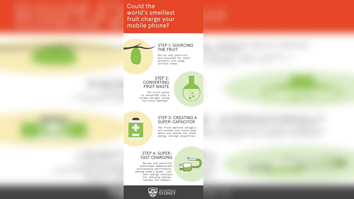 Durian Fruit Can Be Used to Charge Your Phone's Battery: Study