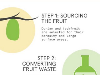 Durian Fruit Can Be Used to Charge Your Phone&#039;s Battery: Study