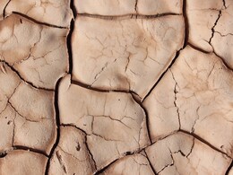 El Nino and Massive Volcanic Eruptions Triggered Mass Extinction of Life 250 Million Years Ago El Nino and Massive Volcanic Eruptions Triggered Mass Extinction of Life 250 Million Years Ago